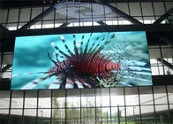 Video pannello di parete della parete P4 di colore pieno del LED dell'installazione fissa dell'interno locativa dello schermo di visualizzazione