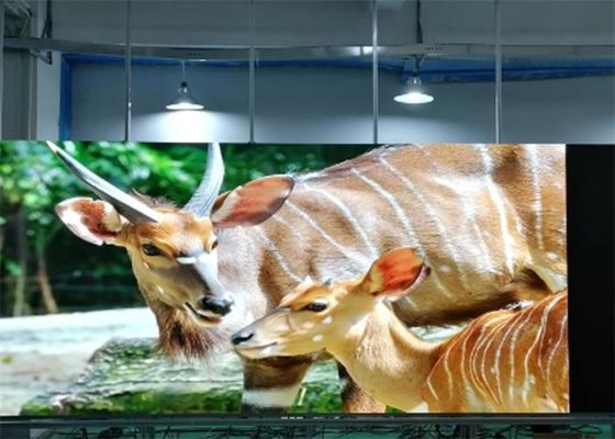 P1.923 Schermo LED a colori per interni SMD1515 ad altissima definizione per montaggio a parete