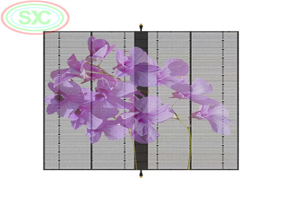 schermi a LED appesi schermo a LED trasparente luminosità regolabile 1000*500MM