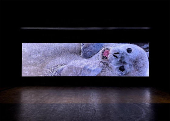 Display LED RGB all'interno che offre una riproduzione dei colori vivaci e immagini chiare e non lampeggianti che migliorano l'impatto visivo nei locali