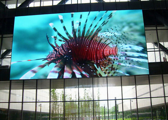 P4.81 Pannello Video LED Full Color SMD 500x500mm IP65