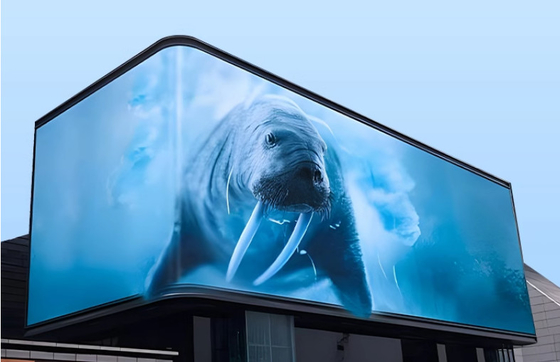 CE Rohs P6 Led Panel Screen Indoor Led Display Billboard per la pubblicità cittadina