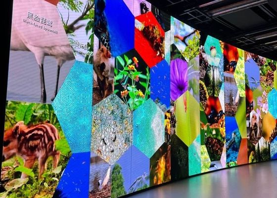 Schermo a noleggio in alluminio pressofuso personalizzabile per sala riunioni, chiesa, display LED flessibile HD COB P0.9