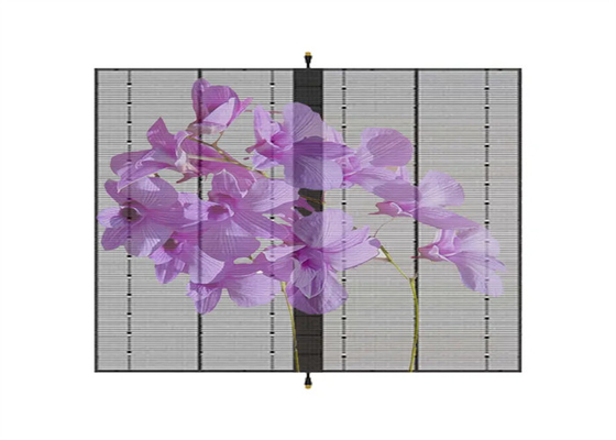 AC100-240V 60Hz Input Transparent LED Display Screen for Indoor Advertising Video Display Function 3-5 anni di garanzia