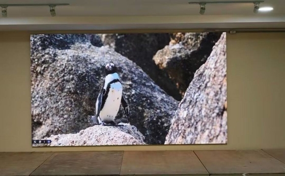 10. Displayboard LED ad alta definizione con modulo di risoluzione 208*104 e standard CE/ROHS/FCC