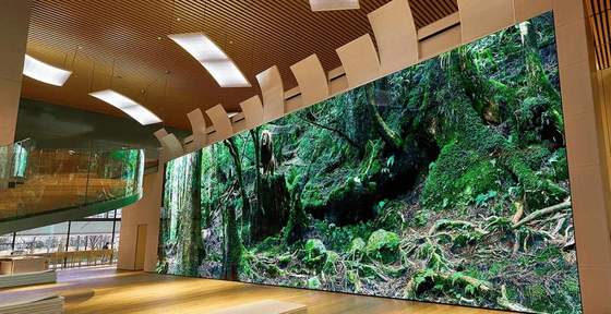 Display a LED a colori P3 con risoluzione di modulo 64*64 e peso di modulo di 0,36 kg per visualizzazione ad alta definizione