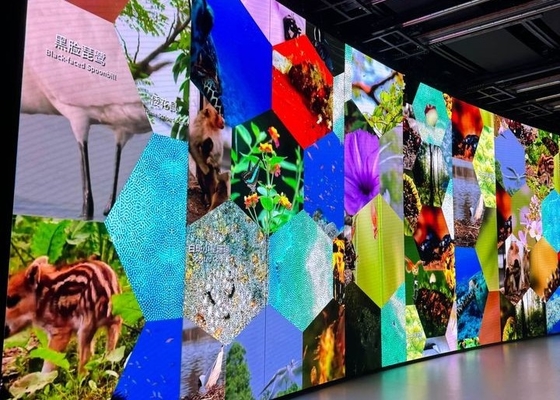 Alto livello di stabilità P6.67 HD Modulo LED Display, facile da installare e mantenere