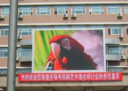 Modulo flessibile Screen di noleggio Alta luminosità IP65 P12 Outdoor LED Billboard