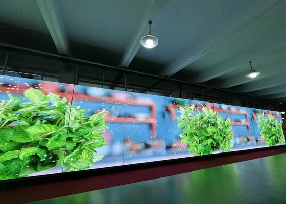 Noleggio di schermo in alluminio a fusione a stampo Ultra HD P6.67 Full Color Outdoor LED Display Red Green Blue LED Screen