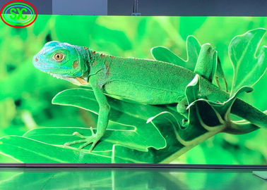 Display LED ad alta risoluzione P2.6 P4.81 Con certificazione CB IECEE SASO