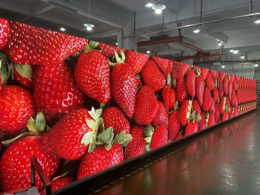 Display LED a colori interni P5 senza soluzione di continuità SMD ad alta definizione 3-in-1 leggero