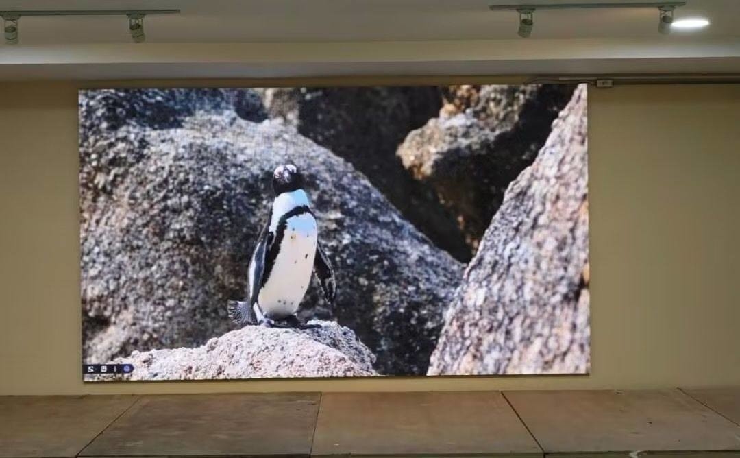 10. Displayboard LED ad alta definizione con modulo di risoluzione 208*104 e standard CE/ROHS/FCC