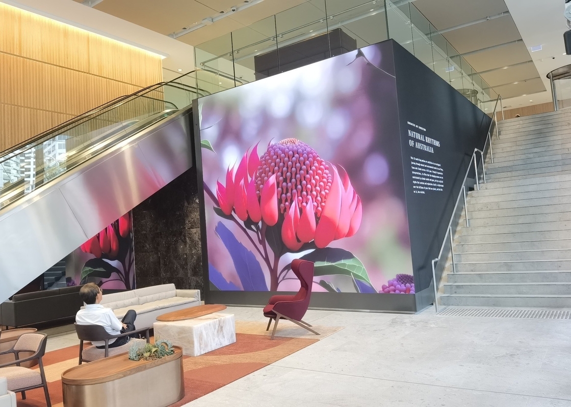 Display video a LED impermeabile, P8 Full Color LED TV Wall Screen