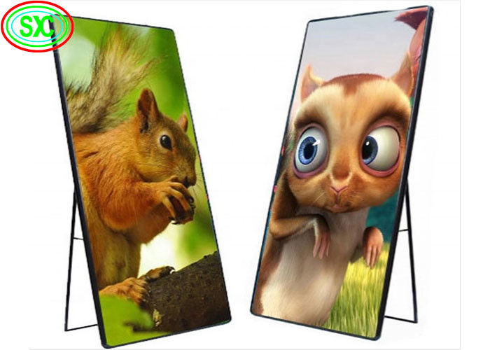 COB 1R1G1B Pubblicità Full Color LED Display Screen P2.5 1/16 Scanning Wall Poster Singolo e doppio colore