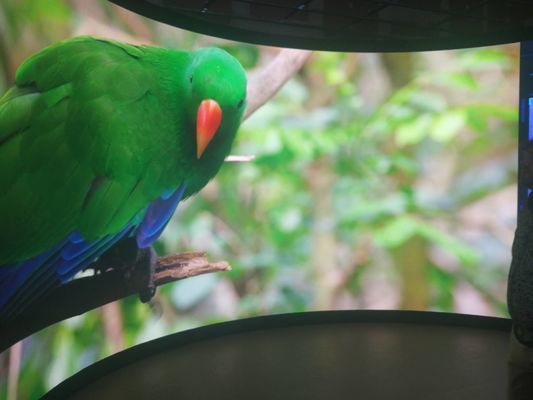 Armadio in alluminio P5 con display LED fisso per manutenzione lato posteriore personalizzabile