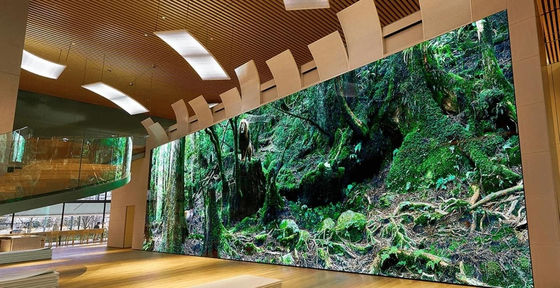 Prezzo buono Display LED ad alta luminosità P3.91 a colori interni 3 anni di garanzia in linea