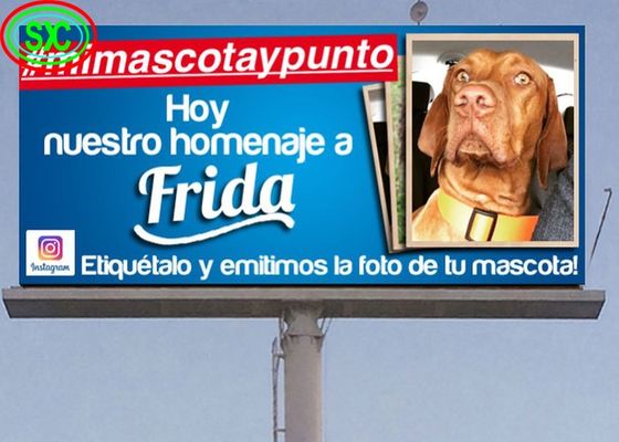 IP65 Armadio impermeabile esterno a colori pieni LED a fusione in alluminio pixel LED standard