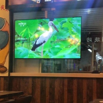 Prezzo buono Modulo LED 1R1G1B impermeabile per interni 300*168,75 mm per display pubblicitari sorprendenti e di grande impatto in linea