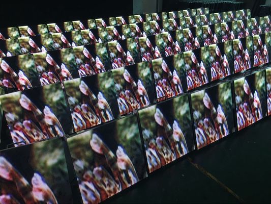 Prezzo buono Parete impermeabile all'aperto 6500K-9500K del fondo di schermo della fase dell'esposizione di LED dell'affitto in linea