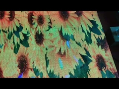 Schermi della pista da ballo LED